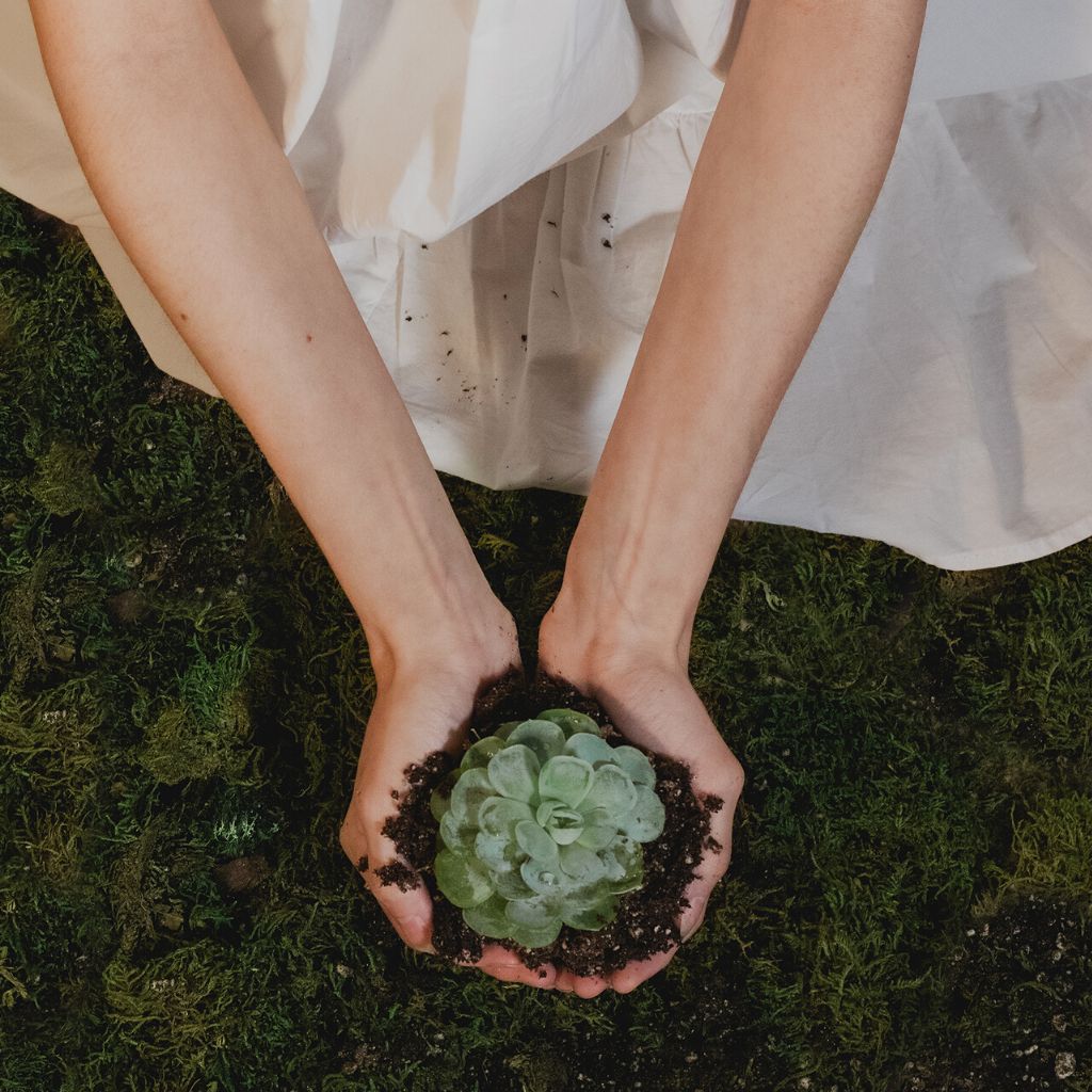 Zero Waste Shop: Nachhaltig einkaufen und die Umwelt schützen