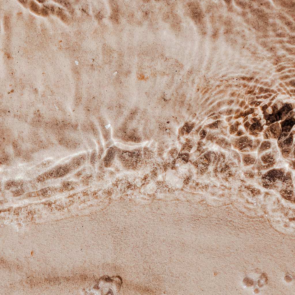 nachhaltige geschenke vegan guide