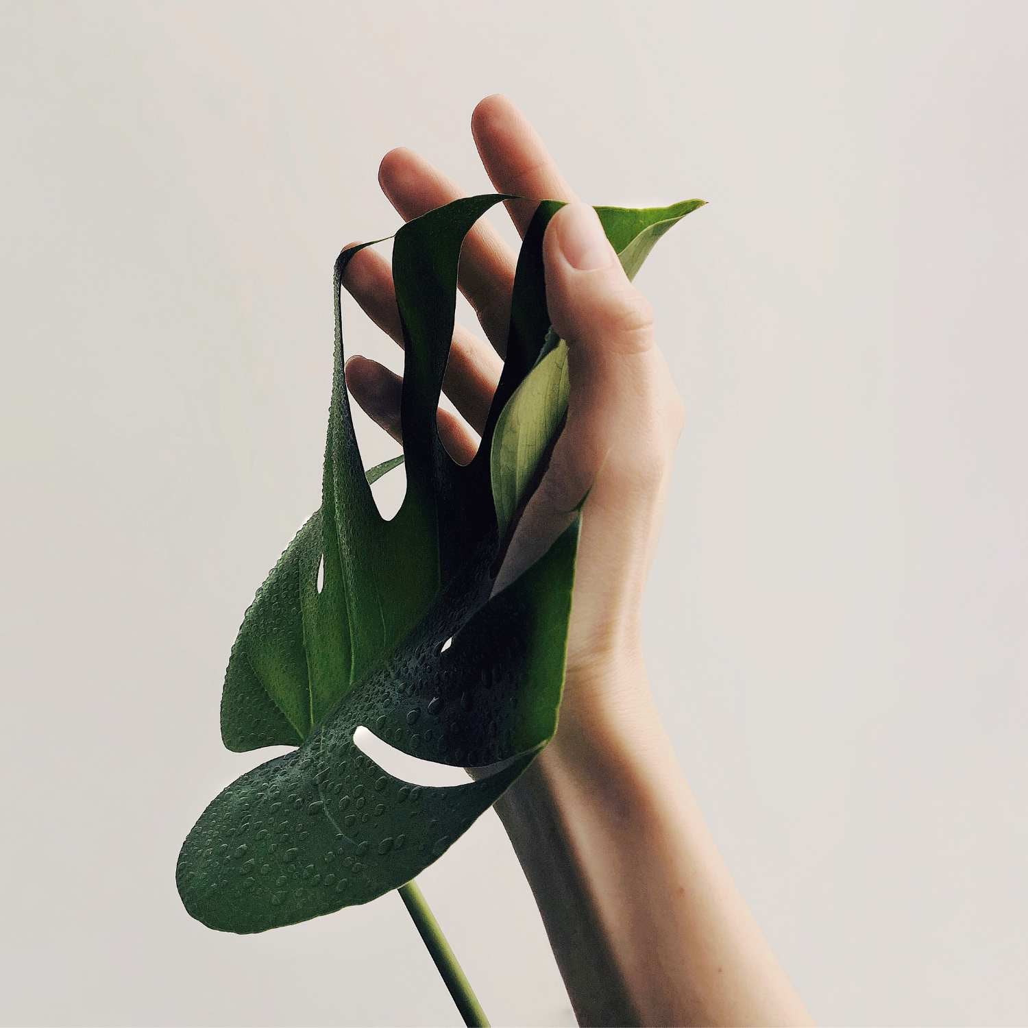 nachhaltige geschenke für veganer guide