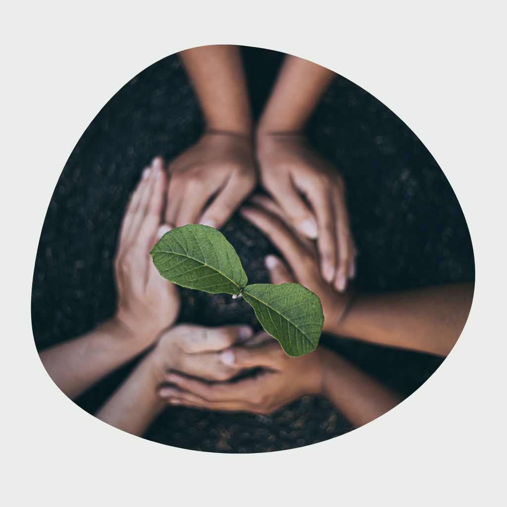 zerowaste shop nachhaltige geschenke