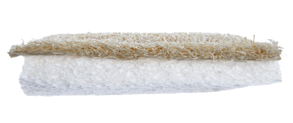 luffaschwamm nachhaltiger spülschwamm